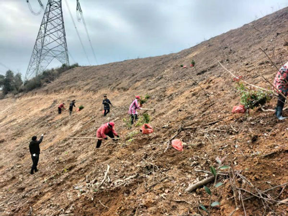 九江德安縣彭山公益林場掀起春季植樹造林熱潮